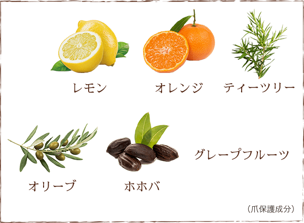 レモン　オレンジ　ティーツリー　オリーブ　ホホバ　グレープフルーツ　（爪保護成分）