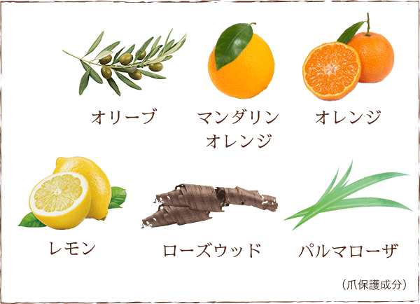 オリーブ　マンダリンオレンジ　オレンジ　レモン　ローズウッド　パルマローザ　(爪保護成分)