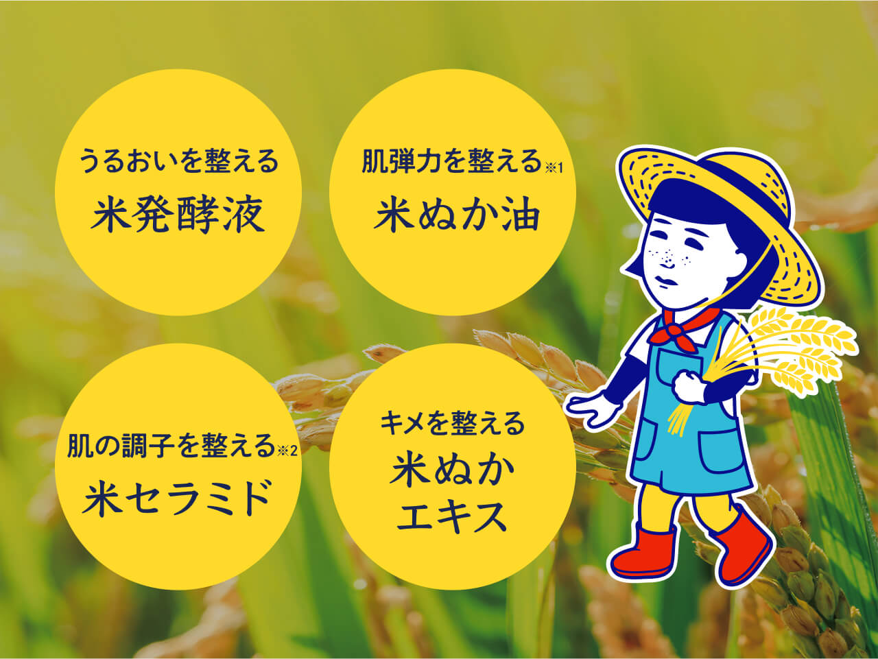 うるいおいを整える米発酵液 肌弾力を整える※1米ぬか油 肌の調子を整える※2米セラミド キメを整える米ぬかエキス