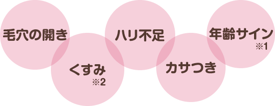 毛穴の開き くすみ ハリ不足 カサつき 年齢サイン