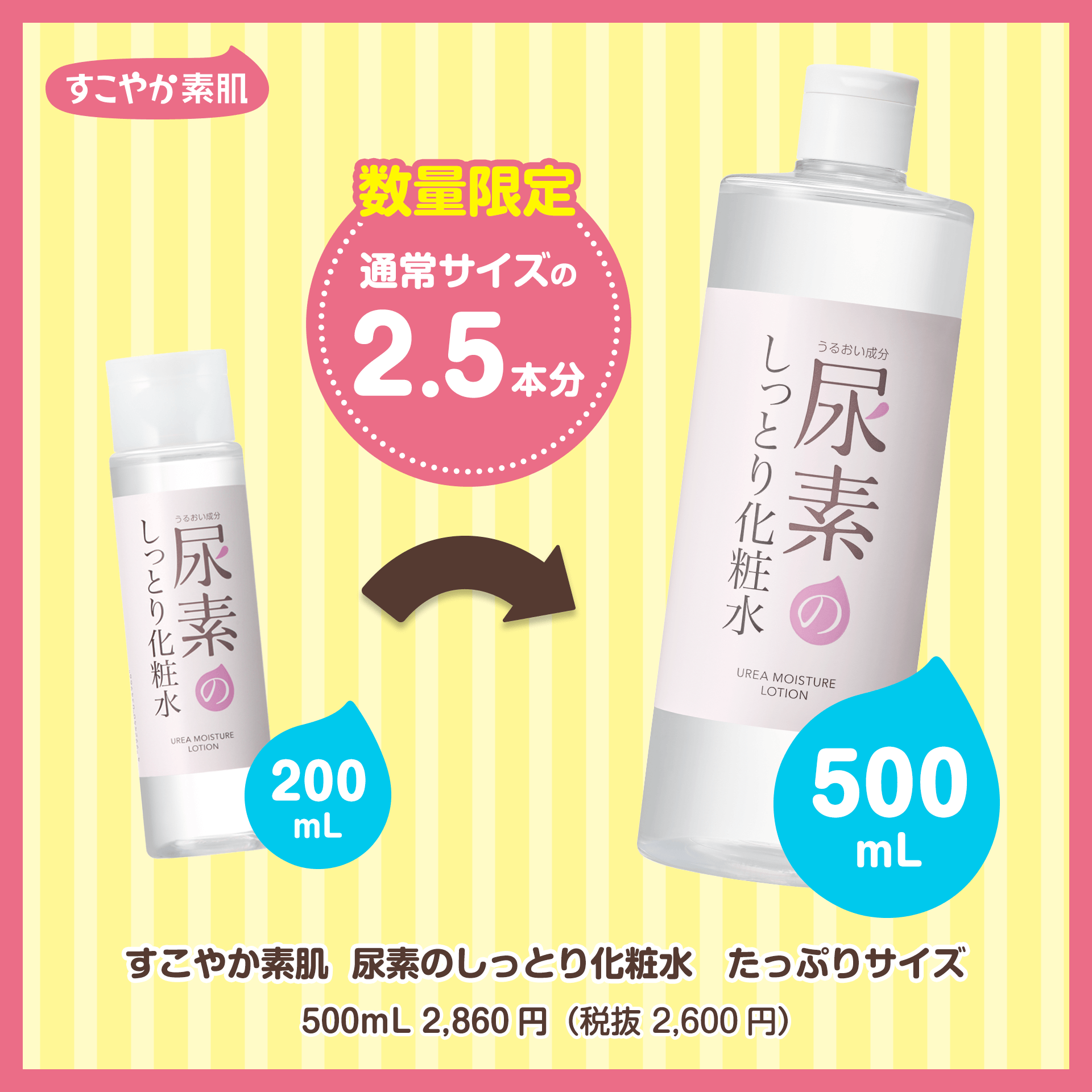 毎日たっぷり使いたい！化粧水BIGサイズ