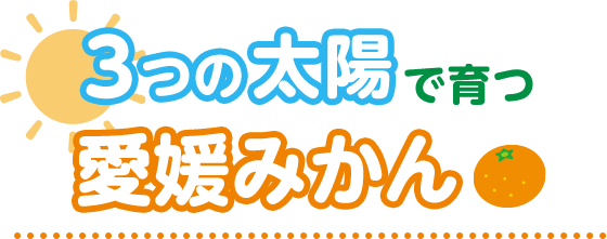 3つの太陽で育つ愛媛のみかん