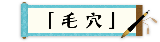 豪華賞品が当たる 毛穴撫子川柳 結果発表 石澤研究所 公式サイト