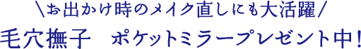 お出かけ時のメイク直しにも大活躍 毛穴撫子 ポケットミラープレゼント中！