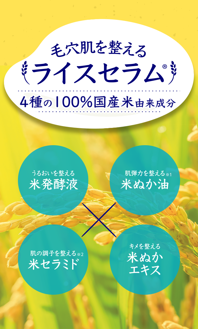 毛穴肌を整えるライスセラム　4種の100%国産米由来成分　うるおいを整える米発酵液　肌弾力を整える※1米ぬか油　肌の調子を整える※2米セラミド　キメを整える米ぬかエキス