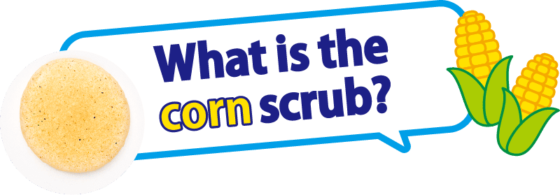 What is the corn scrub?