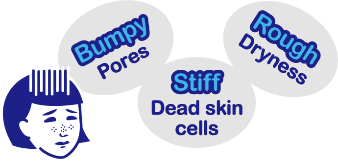 Bumpy Pores,Stiff Dead skin cells,Rough Dryness