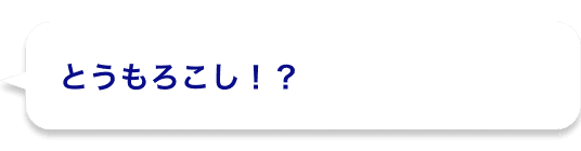 とうもろこし！？