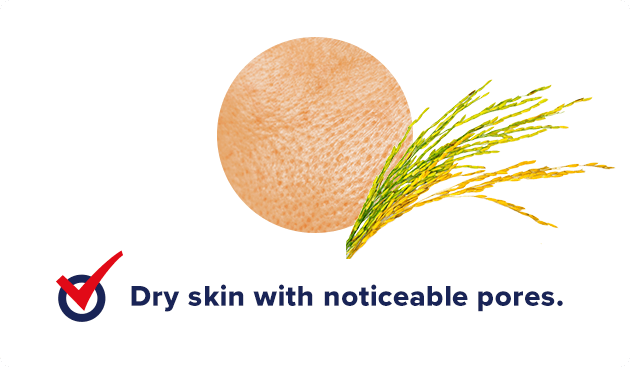 For dry skin with prominent pores