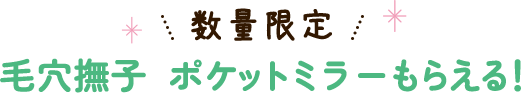 数量限定 毛穴撫子　ポケットミラーもらえる