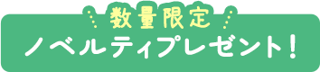 数量限定　ノベルティプレゼント！