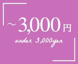 〜3,000円 under 3,000yen