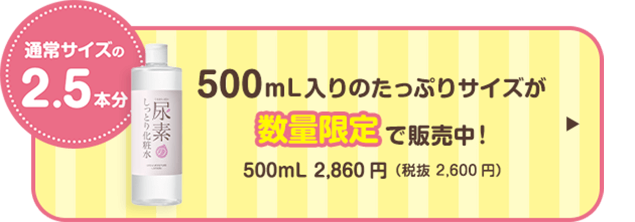 500mL 入りのたっぷりサイズが数量限定で販売中！ 500mL 2,860円（税抜 2,600円）