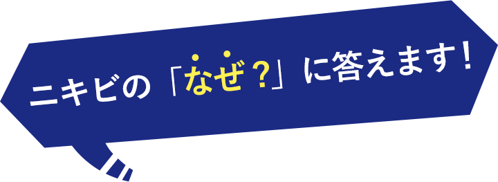 ニキビ研究所 ニキビの「なぜ?」に答えます。　タイムレスキュー　ニキトル薬用アクネスポッツペースト